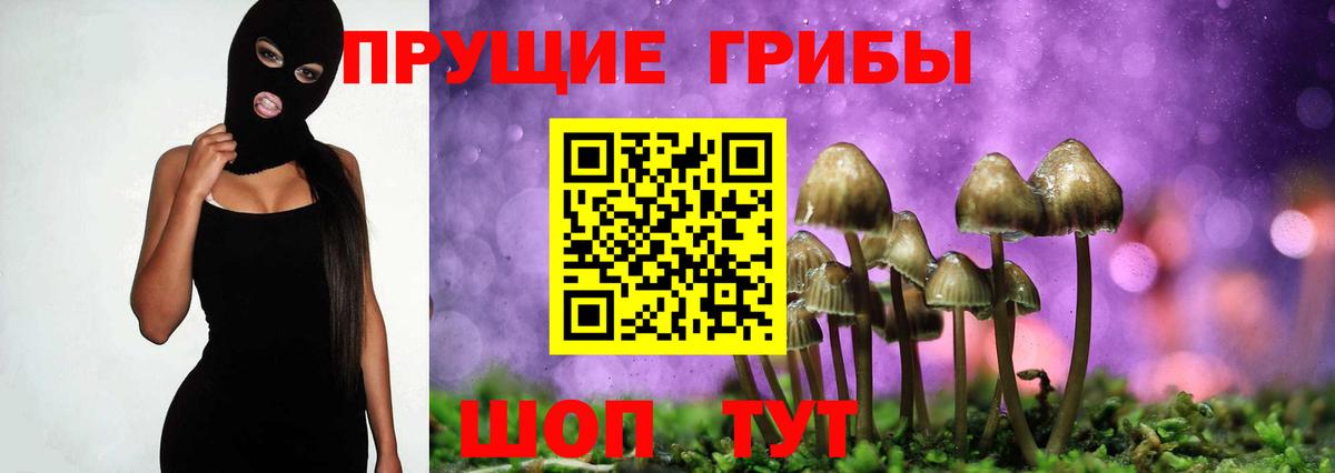 Чернушка  Псилоцибиновые грибы MAGIC MUSHROOMS  Вход с VPN 