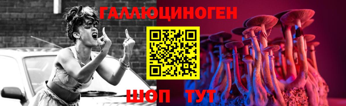 Псилоцибиновые грибы Psilocybe Чернушка